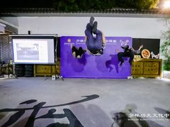 -少林功夫文化中心·独门独院