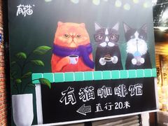 -有猫主题·治愈系猫咖(曾厝垵店)