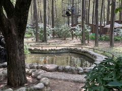 -林间山庄