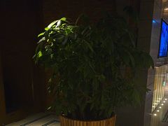 -浅深Cheersum(曹杨店)