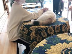 -平行世界·猫咖(首经贸店)