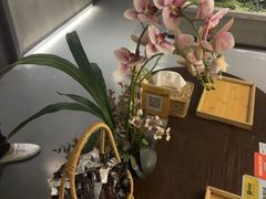 -施奈儿.洗头頭療.按摩SPA.采耳(上梅林店)