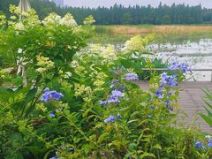 -艾溪湖湿地公园