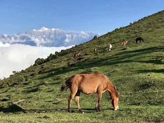 -硗碛藏寨·神木垒景区