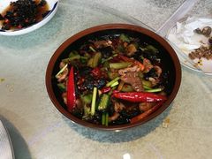 -新概念来凤鱼(璧山店)