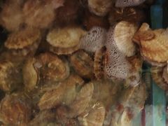 -北方饺子王·海肠捞饭·海鲜锅(山大店)