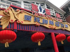 -灵玲国际马戏城