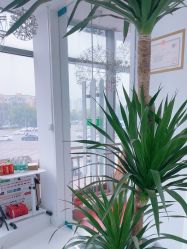 -babiline芭比莱恩半永久纹眉纹唇发际线