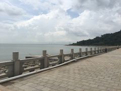 -野狸岛