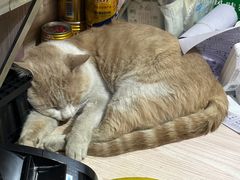 -储奇门鳝鱼火锅(总店)