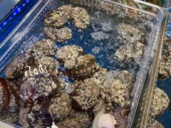 -盒马X会员店(上海森兰商都店)