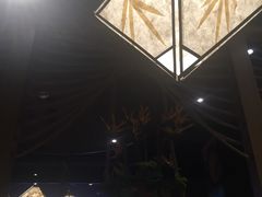 -云海肴·汽锅鸡·云南菜(天津国金汇店)