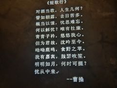 -胡桃里乐队酒馆(鎏嘉码头店)