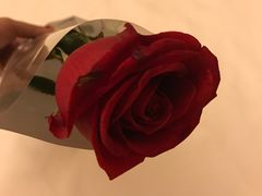 -维也纳国际酒店(深圳新洲店)