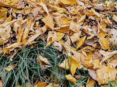 -宁波五龙潭景区