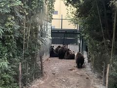 -郑州银基国际旅游度假区