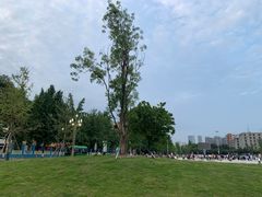 -四川大学(望江校区)