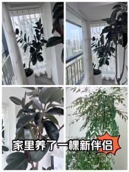 -HEYAN荷妍专业脱毛连锁机构