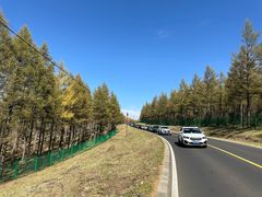 -塞罕坝国家级自然保护区