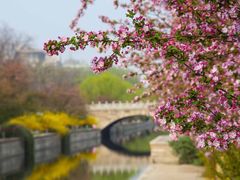-海棠花溪(元大都城垣遗址公园)