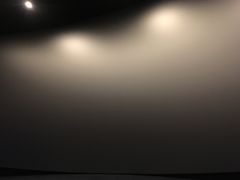 -万象影城(石家庄万象城IMAX激光店)