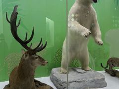 -国家自然博物馆