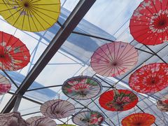 -广东花都香草世界旅游度假区