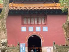 -普陀山风景名胜区-法雨禅寺