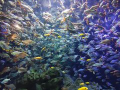 -成都浩海立方海洋公园