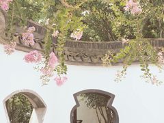 -上海醉白池公园