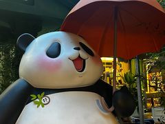 -轩客会(熊猫书店)