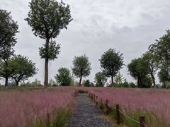 -汉长安城未央宫国家考古遗址公园