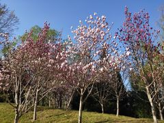 -北极寺公园