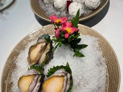 -鲐赏河豚(长寿店)