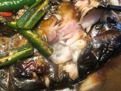 -炉鱼(平湖八佰伴店)