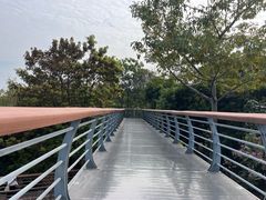 -立新湖公园