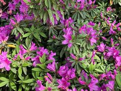 -玄武湖景区-情侣园游乐场