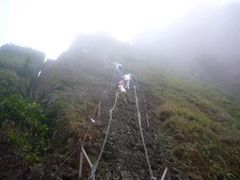 -七仙岭温泉国家森林公园