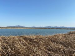 -野鸭湖国家湿地公园