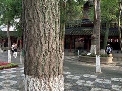 -寒山寺