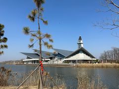 -盐城丹顶鹤湿地生态旅游区