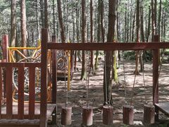 -重庆睡佛山森林公园