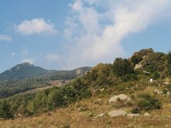 -白草畔自然风景区