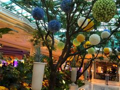 -拉斯维加斯永利酒店