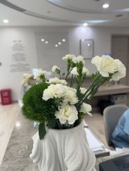 -智美品质医美