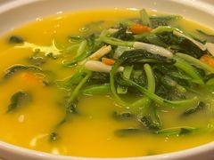 -唐山河头老街国丰维景国际大酒店