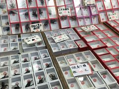 -万商花鸟市场