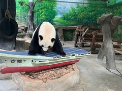 -灵玲国际马戏城