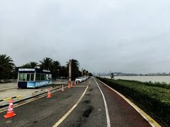 -海鸥岛