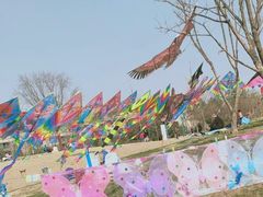 -两河城市森林公园